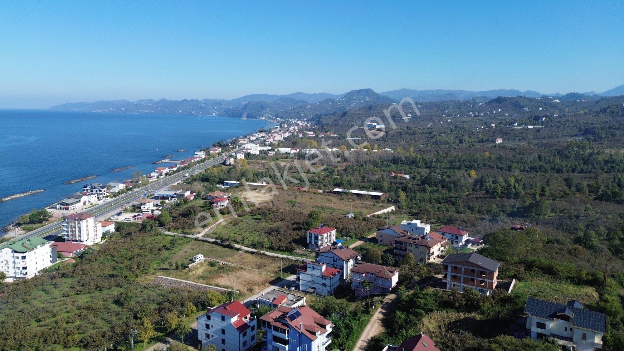 Z Grup Fatsa Yenipazar Mah. 347m2 Deniz Manzaralı Villa Arsası - Görsel 9