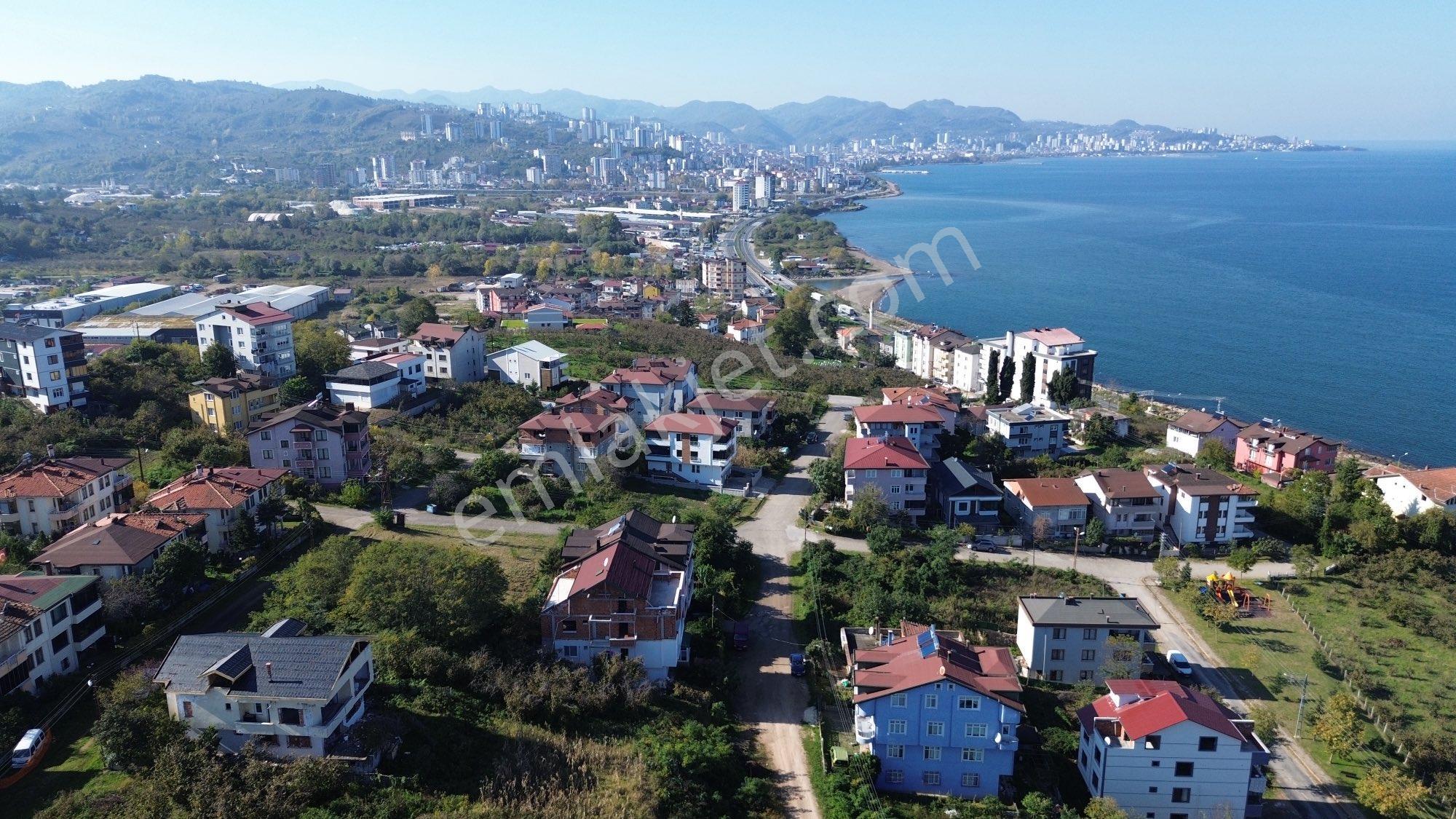 Z Grup Fatsa Yenipazar Mah. 347m2 Deniz Manzaralı Villa Arsası - Görsel 13