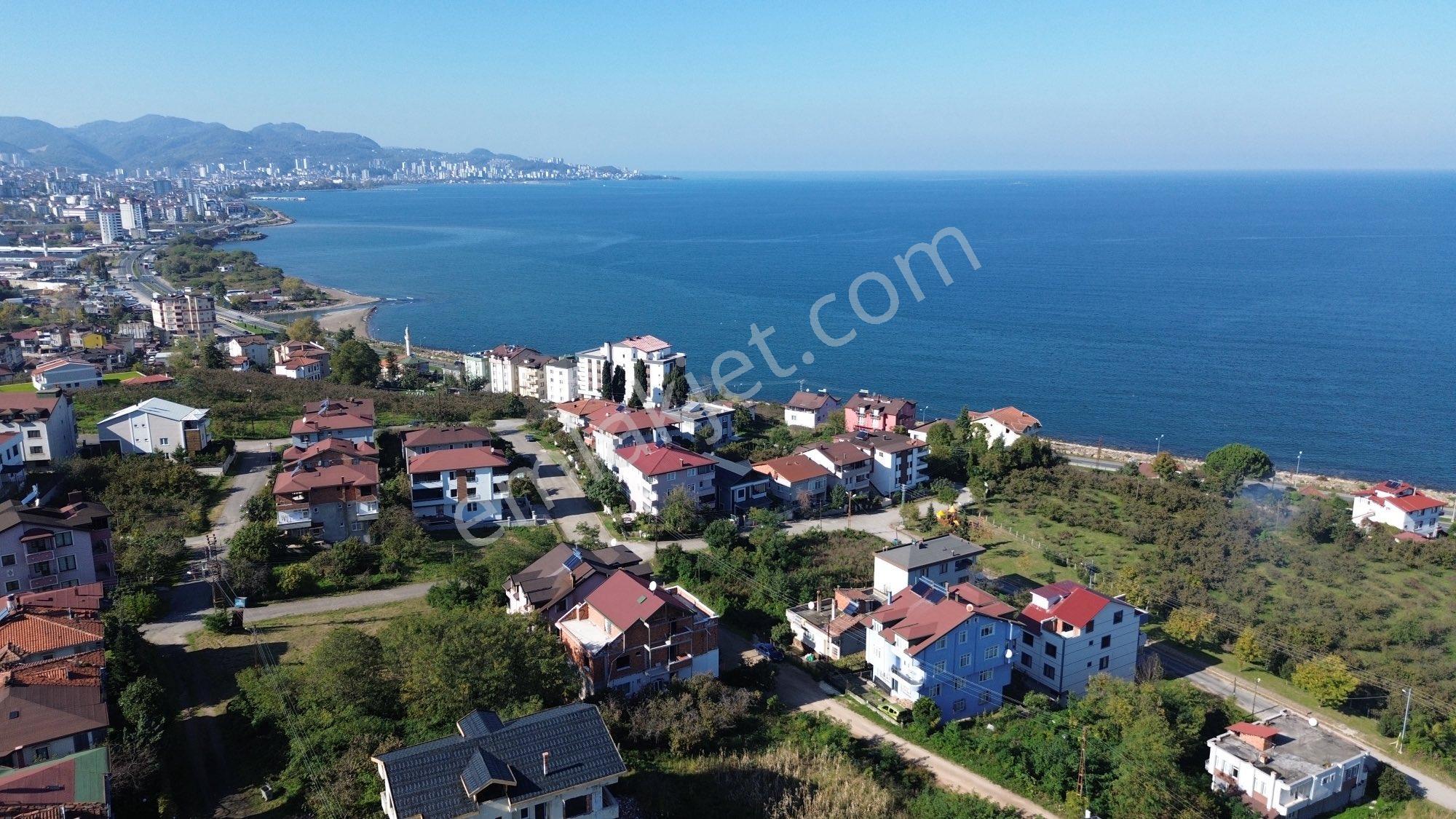 Z Grup Fatsa Yenipazar Mah. 347m2 Deniz Manzaralı Villa Arsası - Görsel 12