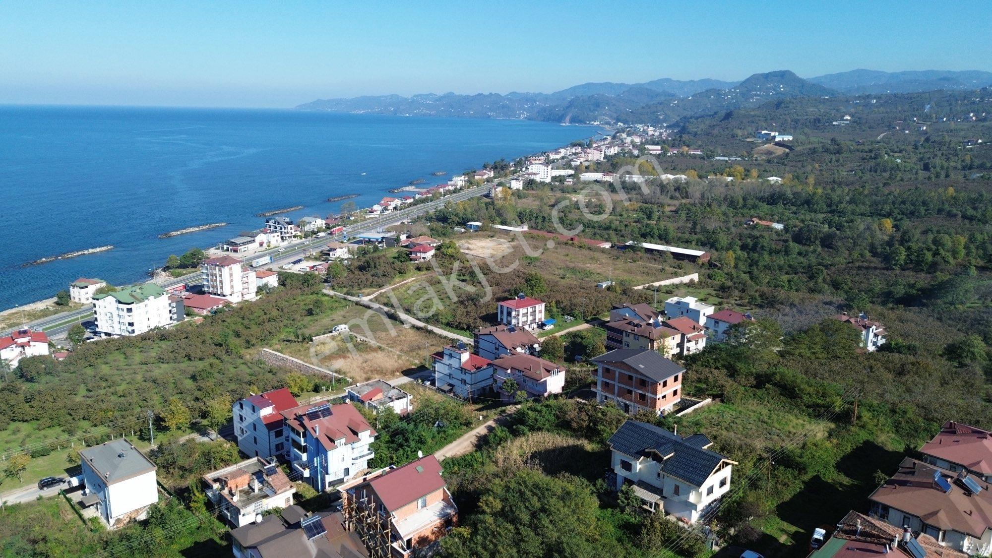 Z Grup Fatsa Yenipazar Mah. 347m2 Deniz Manzaralı Villa Arsası - Görsel 10