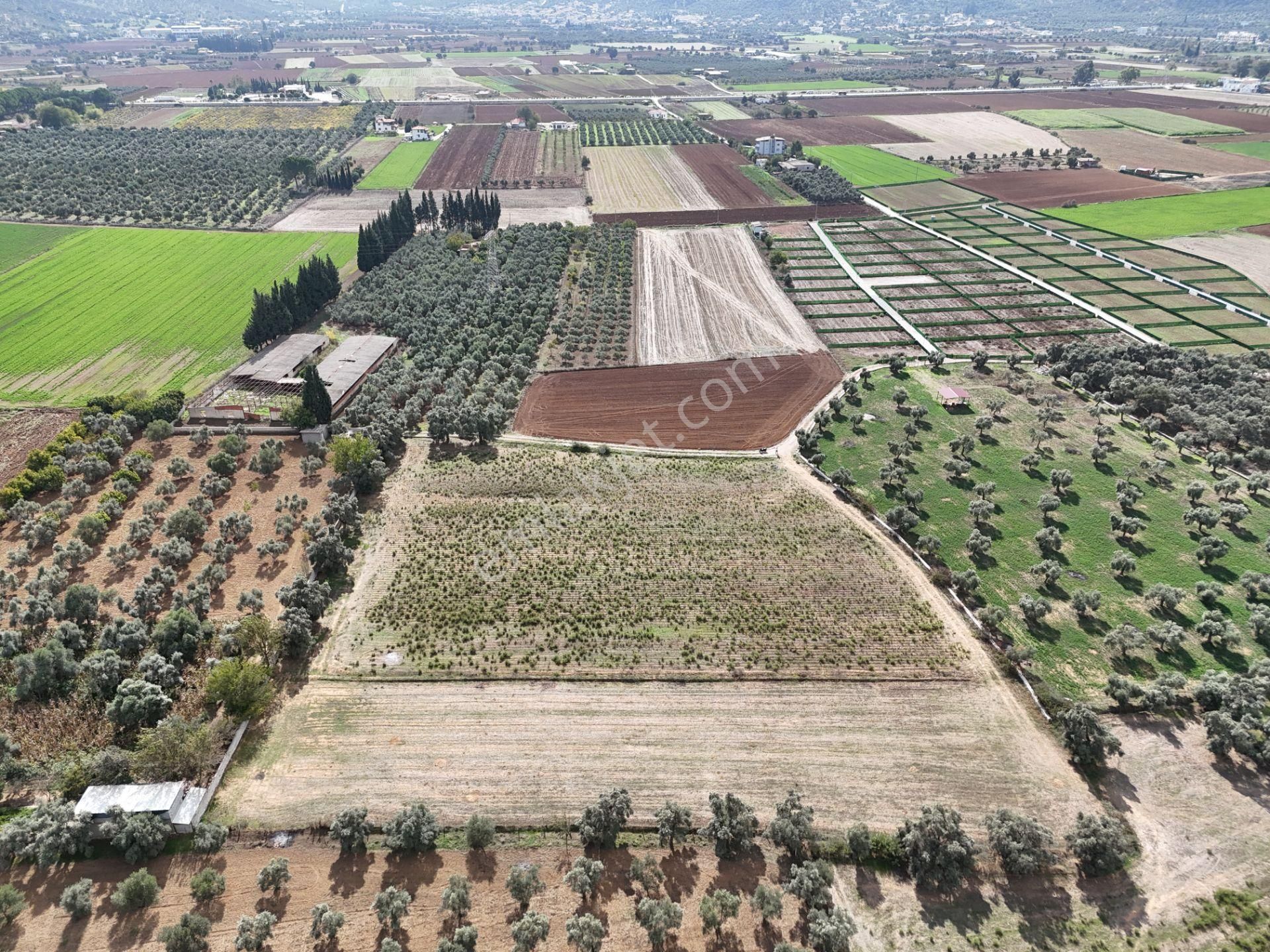 Milas Merkezde Zeytin Ağaçlı 8.682 M² Tarla Yatırıma Uygun - Görsel 28