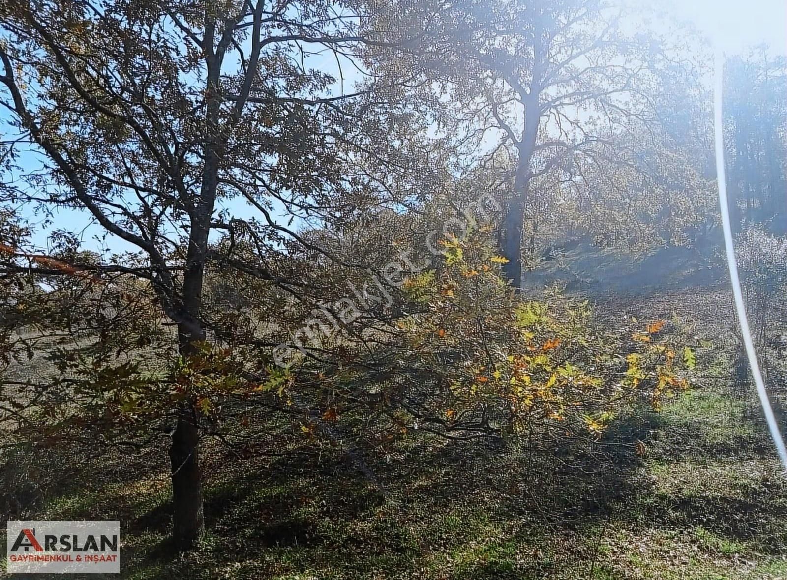 Kocaeli Kandıra Balcı Köyünde Toplulaştırmada 665 M2 - Görsel 4