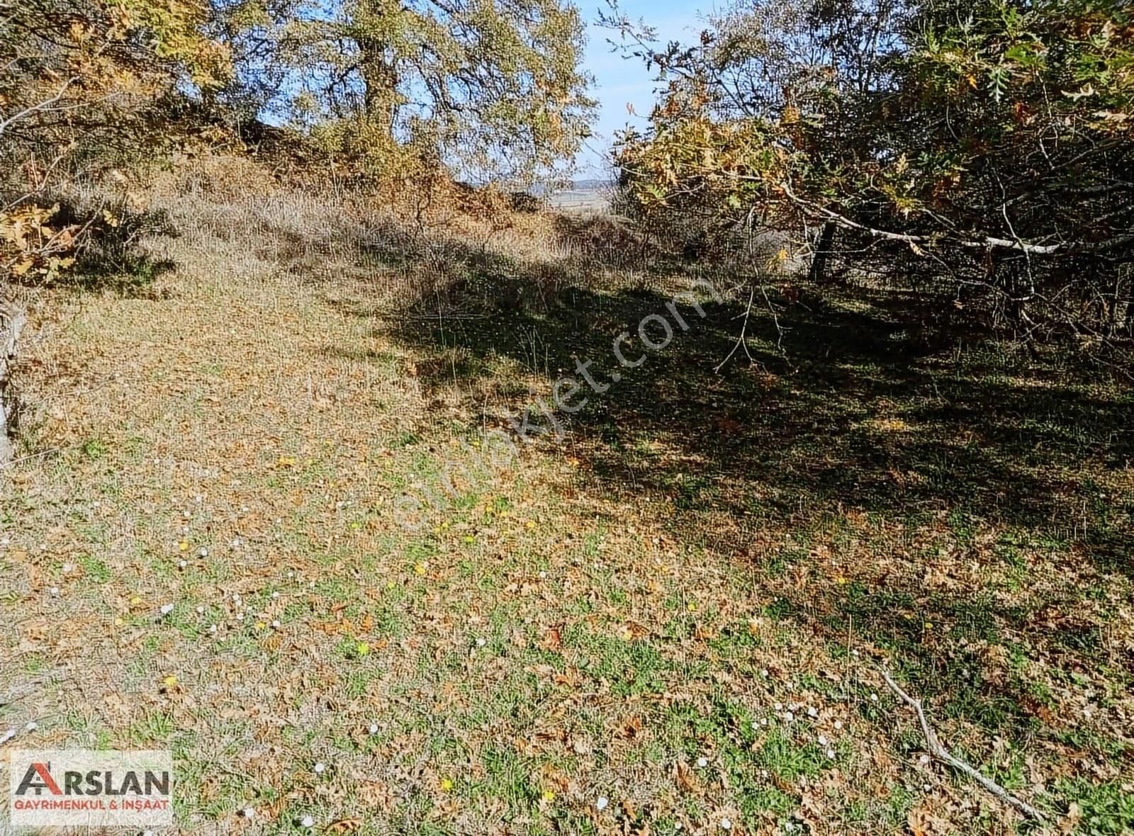 Kocaeli Kandıra Balcı Köyünde Toplulaştırmada 665 M2 - Görsel 6