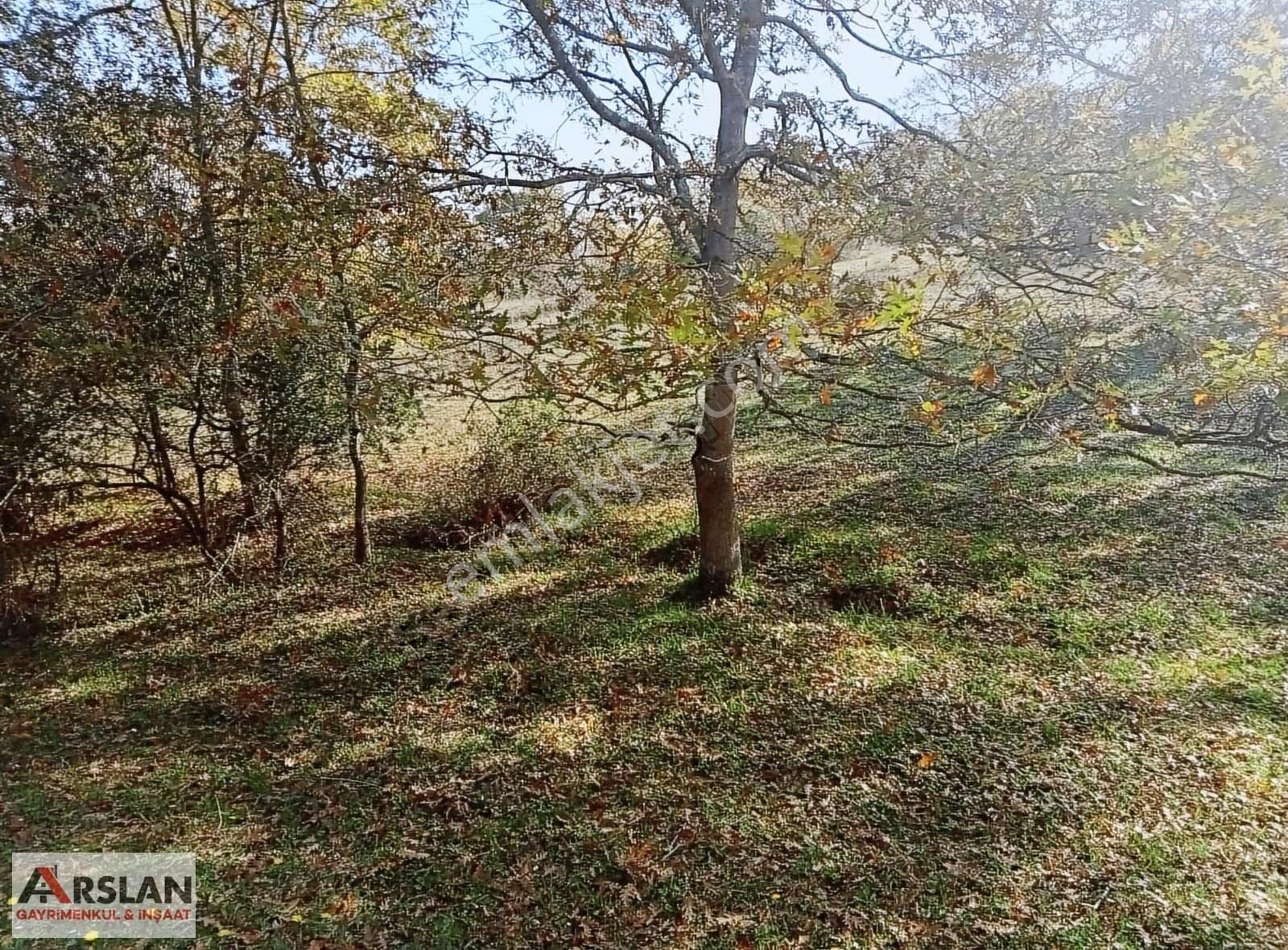 Kocaeli Kandıra Balcı Köyünde Toplulaştırmada 665 M2