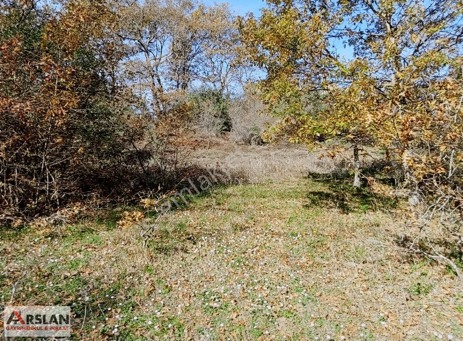 Kocaeli Kandıra Balcı Köyünde Toplulaştırmada 665 M2 - Görsel 7