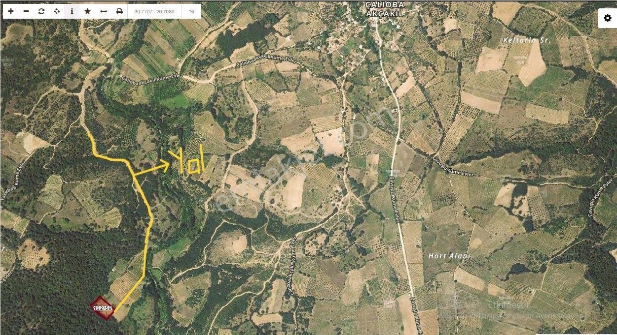 Acil..fiyat Düştü..çanakkale En Uygun Tarla 3894 M2 Araç Takaslı - Görsel 8