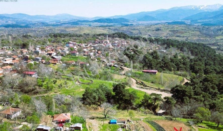 Acil..fiyat Düştü..çanakkale En Uygun Tarla 3894 M2 Araç Takaslı - Görsel 2