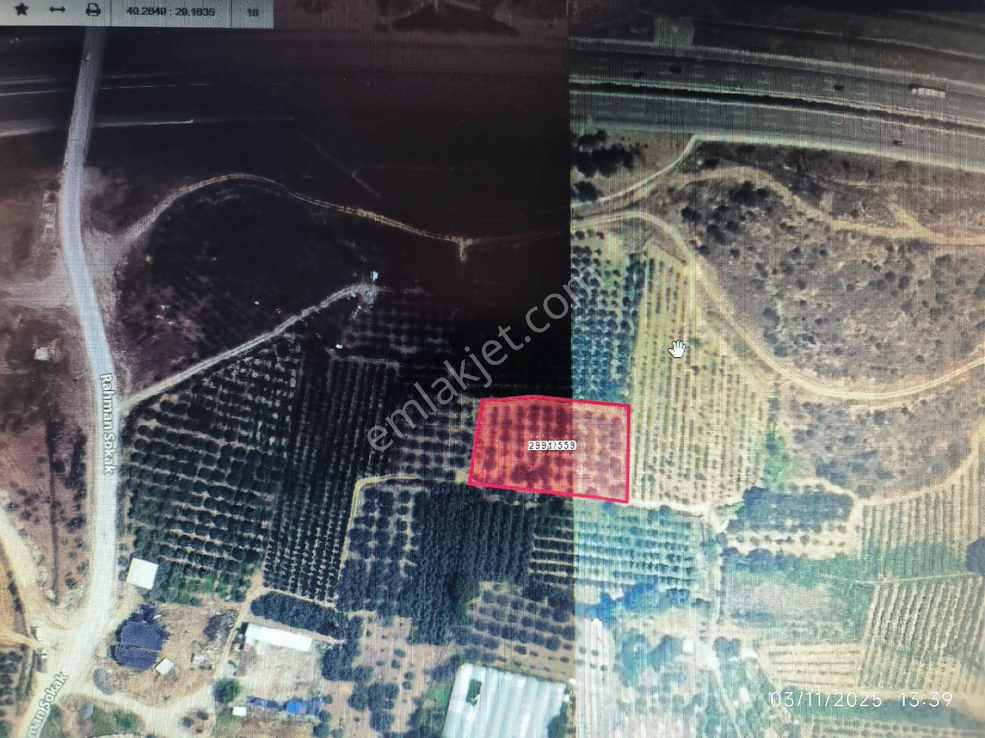 Bursa Gürsu Kazıklıköyü Mahallesi 2717 M2 Otobana Yakın Satılık Tarla - Görsel 18