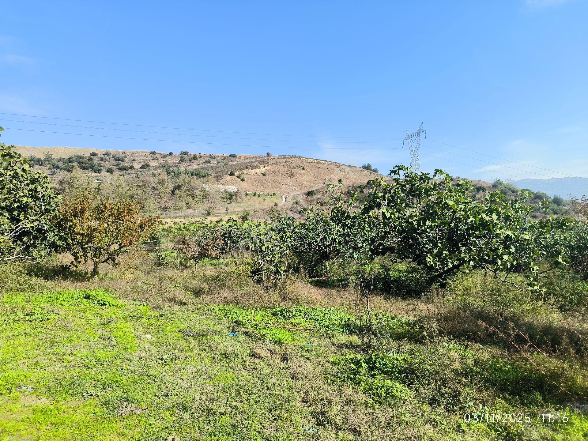 Bursa Gürsu Kazıklıköyü Mahallesi 2717 M2 Otobana Yakın Satılık Tarla - Görsel 2