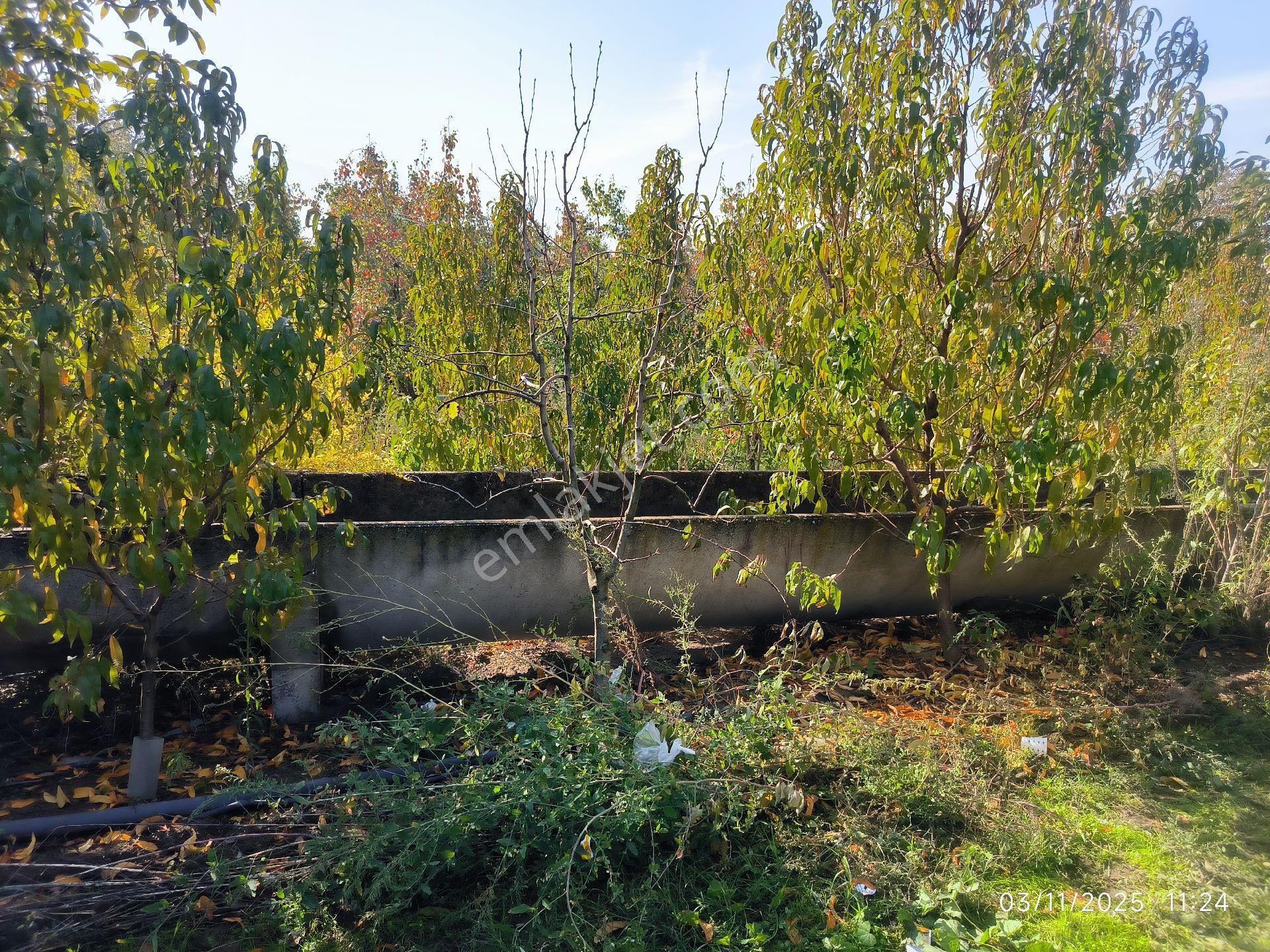 Bursa Gürsu Kazıklıköyü Mahallesi 2717 M2 Otobana Yakın Satılık Tarla - Görsel 11