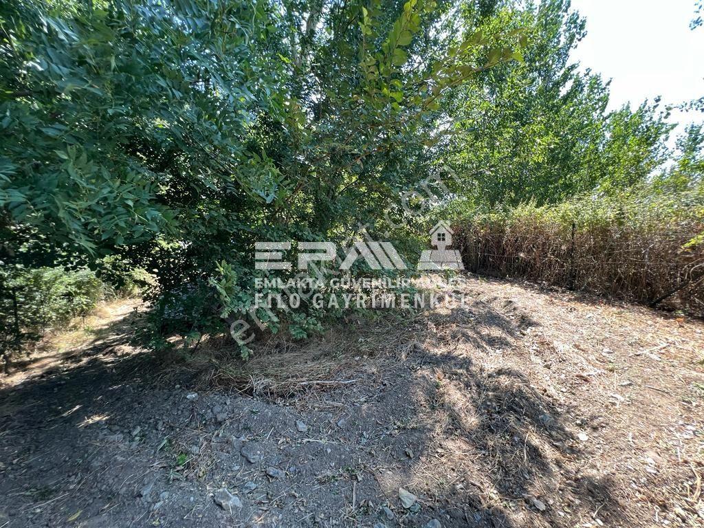 Pınarhisar Ataköy 1.991 M2 Müstakil Tapulu Anayola Cepheli Tarla - Görsel 12