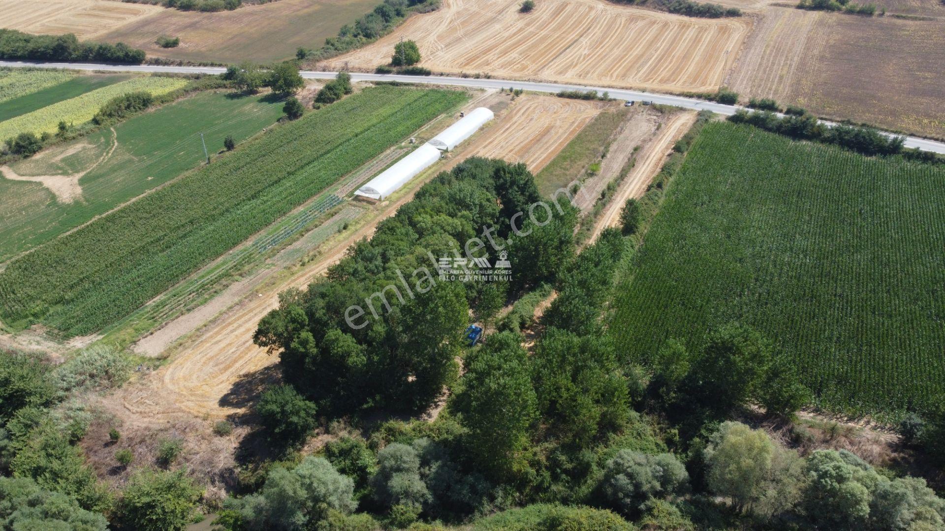 Pınarhisar Ataköy 1.991 M2 Müstakil Tapulu Anayola Cepheli Tarla - Görsel 28