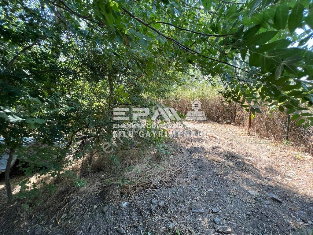 Pınarhisar Ataköy 1.991 M2 Müstakil Tapulu Anayola Cepheli Tarla - Görsel 15