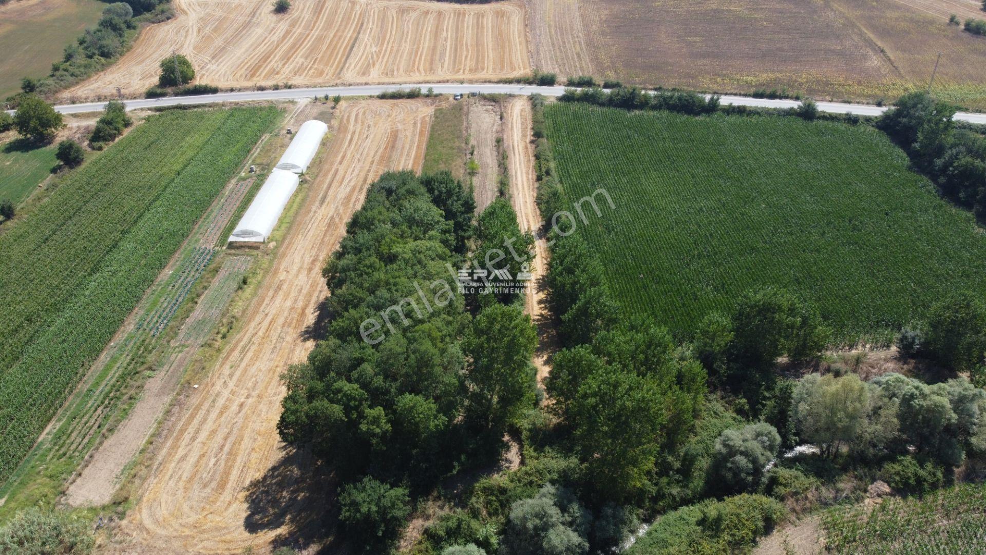 Pınarhisar Ataköy 1.991 M2 Müstakil Tapulu Anayola Cepheli Tarla - Görsel 8
