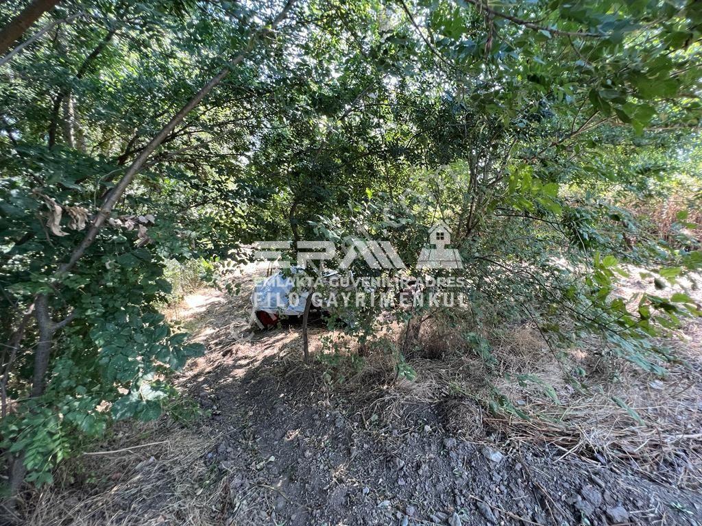 Pınarhisar Ataköy 1.991 M2 Müstakil Tapulu Anayola Cepheli Tarla - Görsel 14