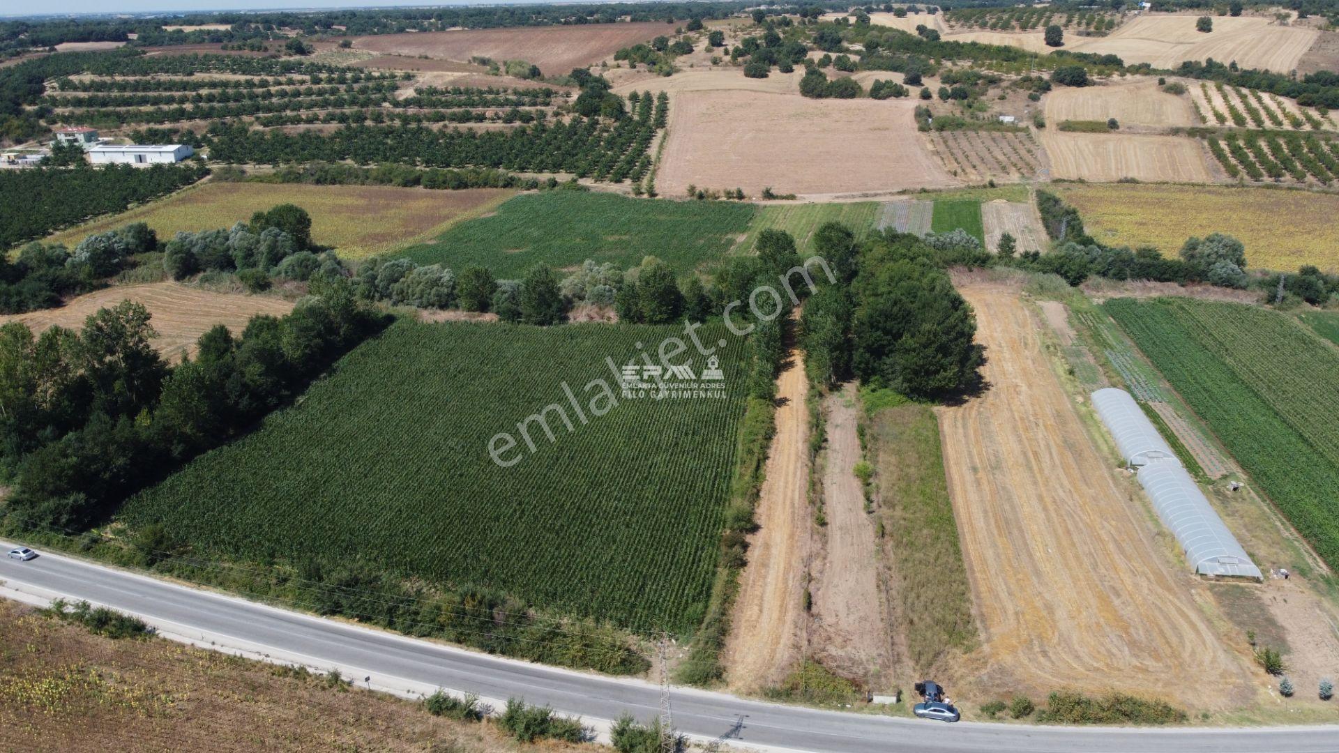 Pınarhisar Ataköy 1.991 M2 Müstakil Tapulu Anayola Cepheli Tarla - Görsel 9