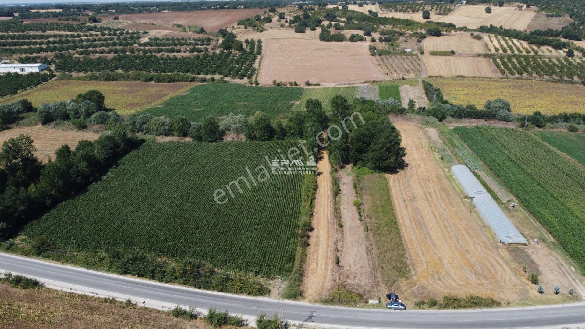 Pınarhisar Ataköy 1.991 M2 Müstakil Tapulu Anayola Cepheli Tarla - Görsel 27