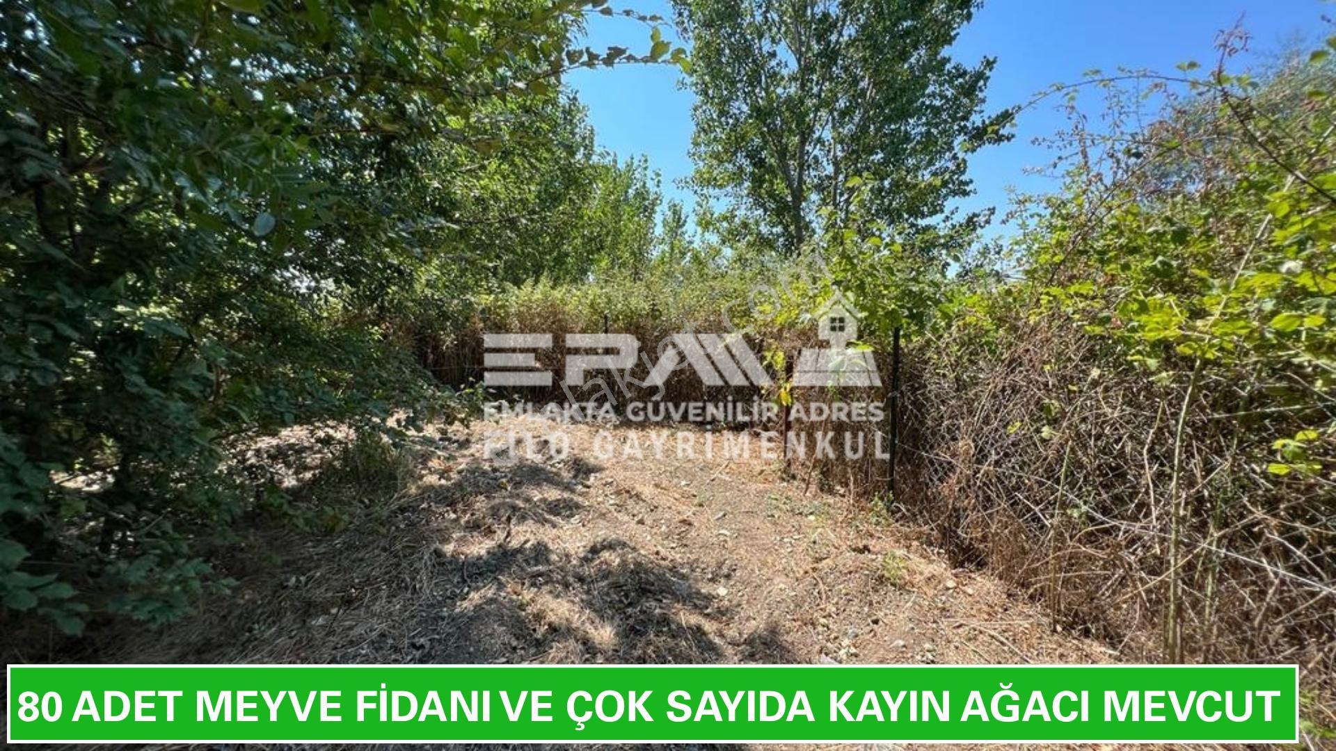 Pınarhisar Ataköy 1.991 M2 Müstakil Tapulu Anayola Cepheli Tarla - Görsel 24