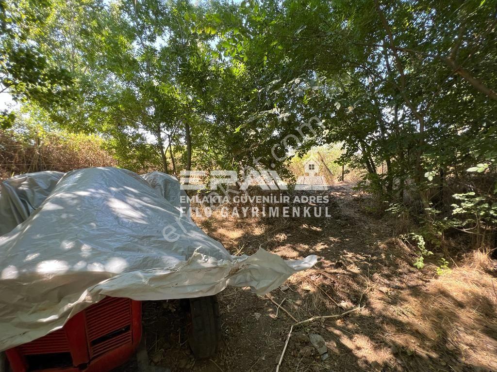 Pınarhisar Ataköy 1.991 M2 Müstakil Tapulu Anayola Cepheli Tarla - Görsel 11