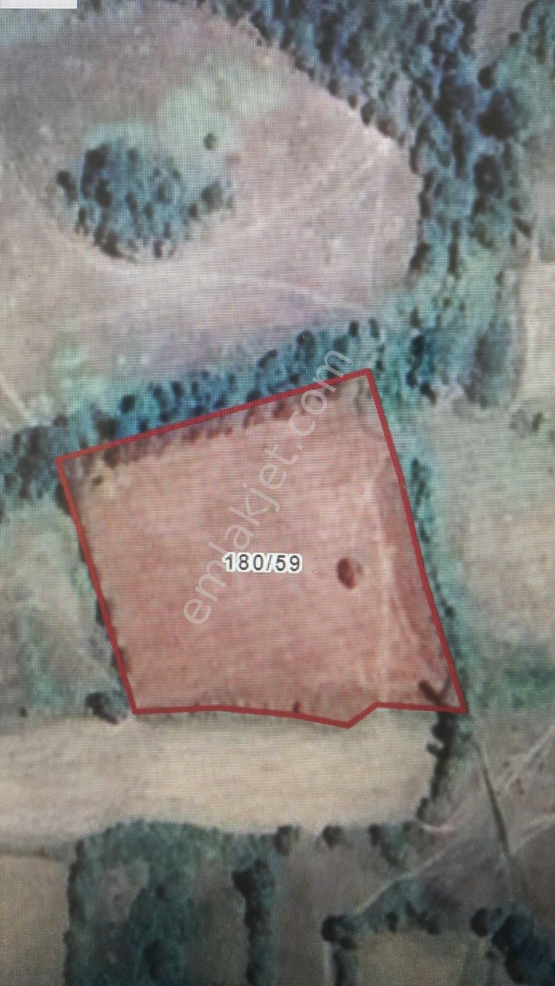 Çanakkale Yenice Hıdırlar Köyünde Doğal Termale Yakın Satılık Tarla - Görsel 2