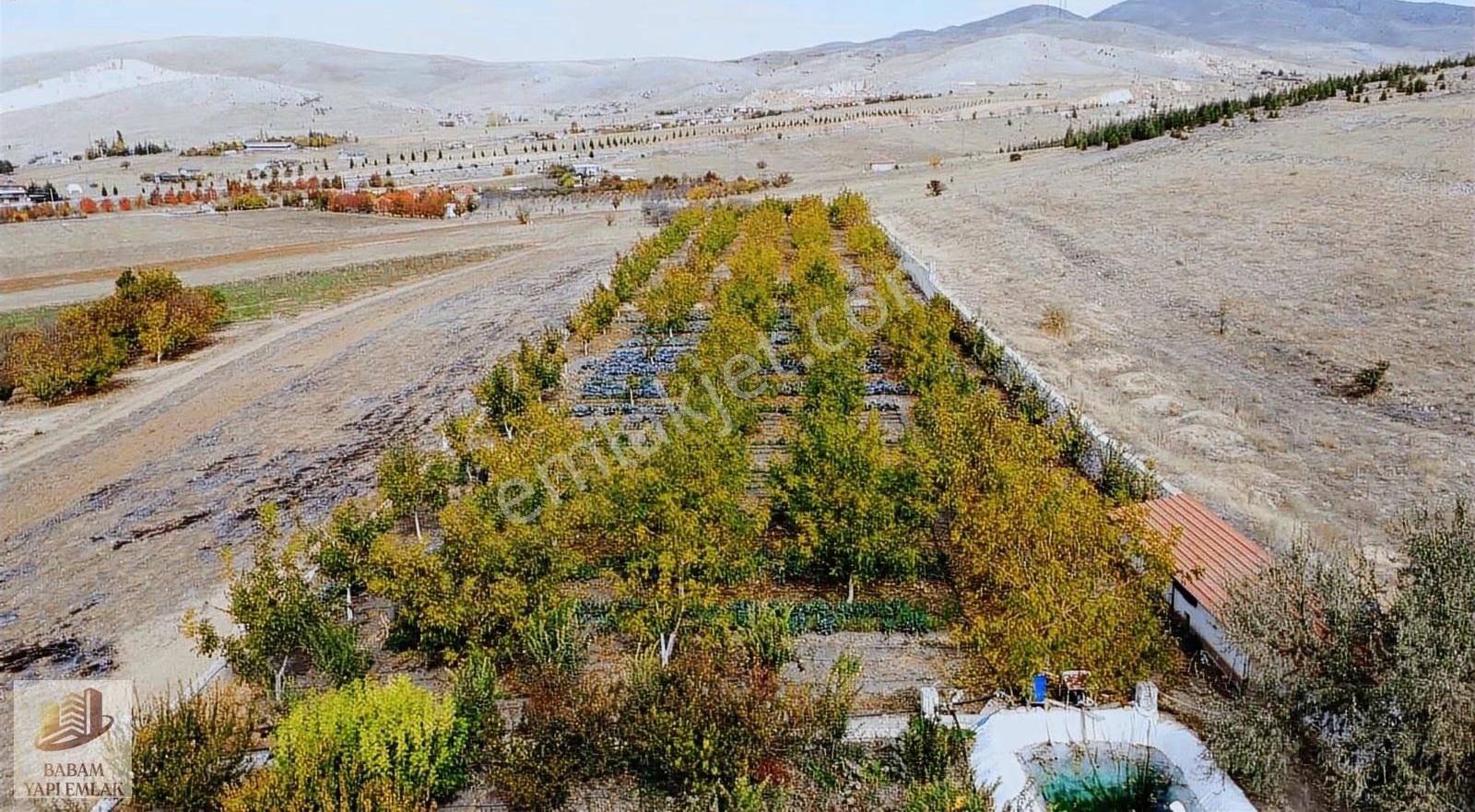 8.000m2 Tek Tapulu Yol-su-elektrik Hazır Bahçe Tarla - Görsel 15