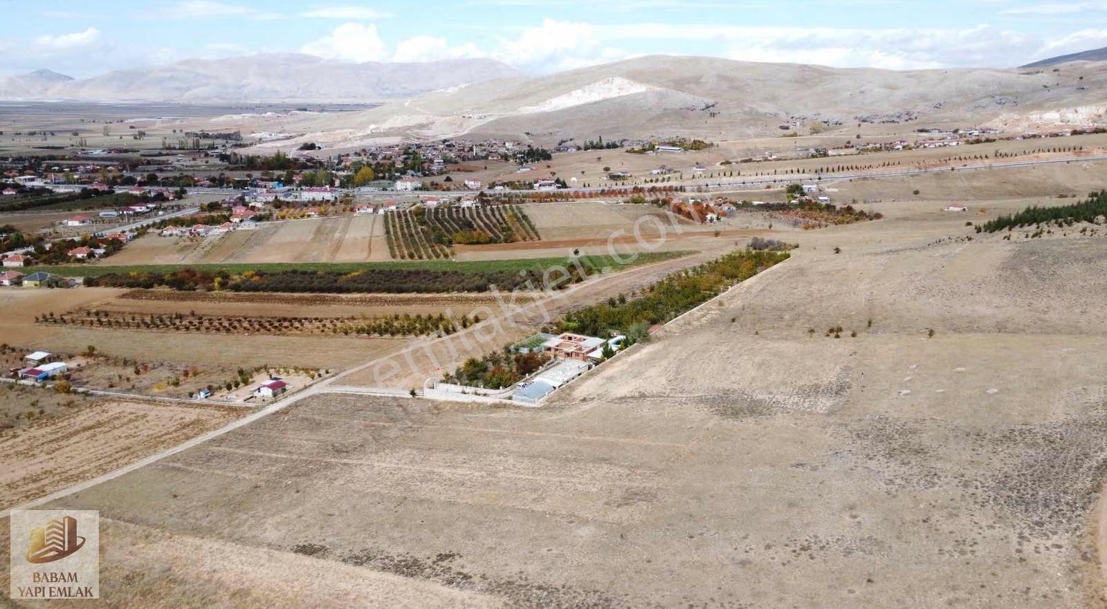 8.000m2 Tek Tapulu Yol-su-elektrik Hazır Bahçe Tarla - Görsel 2