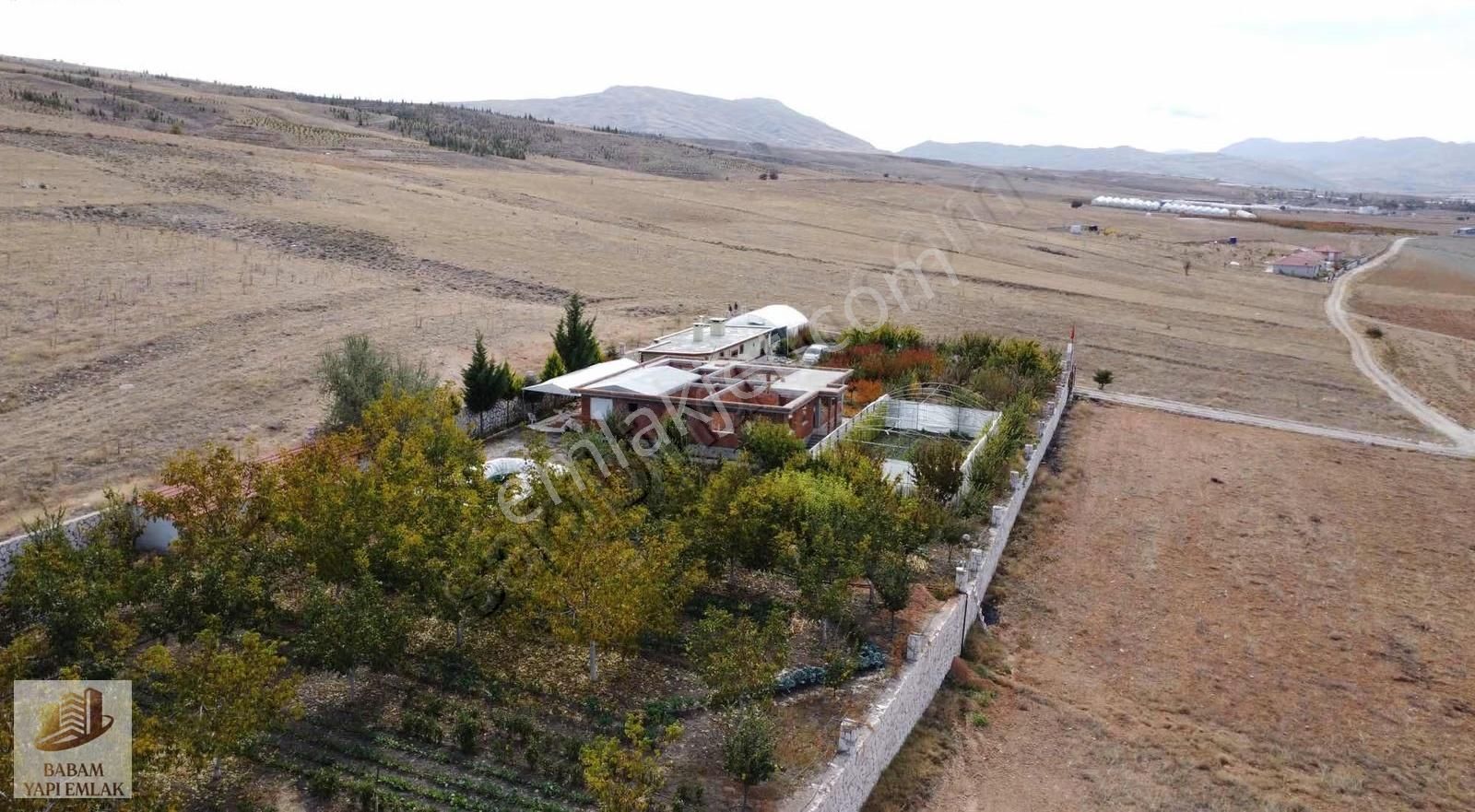 8.000m2 Tek Tapulu Yol-su-elektrik Hazır Bahçe Tarla - Görsel 9