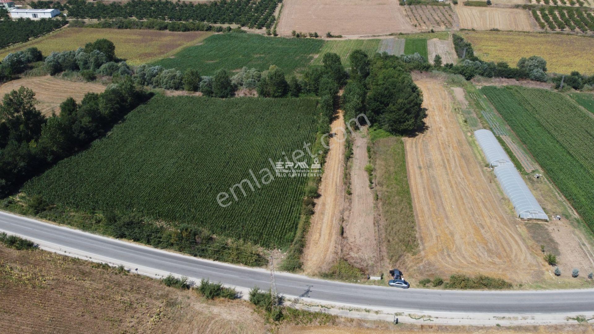 Pınarhisar Ataköy Yatırımlık Fırsat Ana Yola Cephe 2303 M2 Tarla - Görsel 10