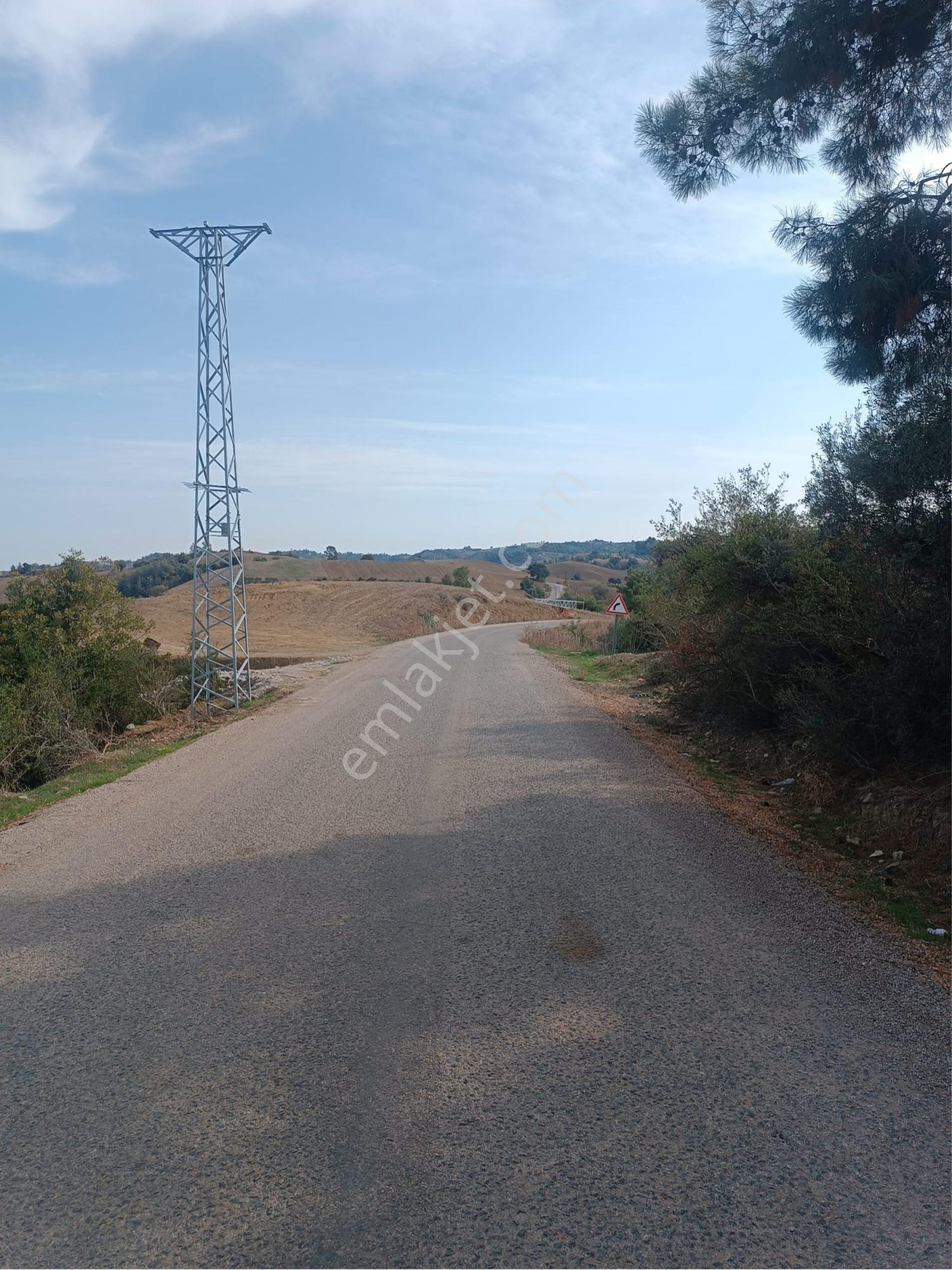 İmamoğlu Malıhıdırlı Köyü Yolu Üzerinde 7606 M2 Tarla Satılık - Görsel 4