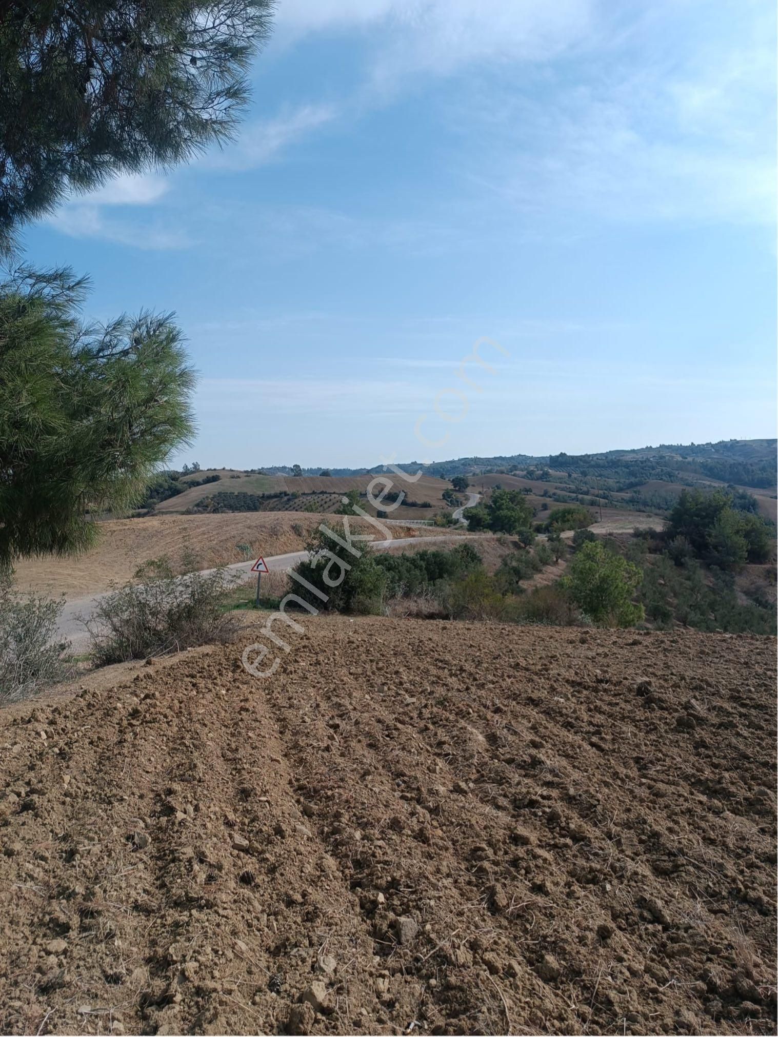 İmamoğlu Malıhıdırlı Köyü Yolu Üzerinde 7606 M2 Tarla Satılık - Görsel 2
