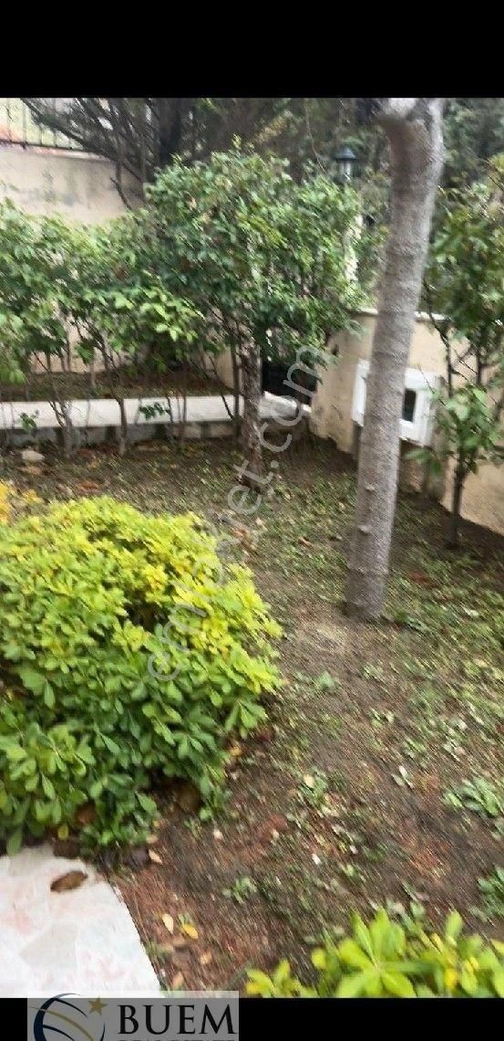 Avsa Adası Mavı Koyda 184m2 Vılla 201m2 Imarlı Arsasıyla Bırlıkte Esyalı Su Kuyulu Mustakıl Vılla - Görsel 29