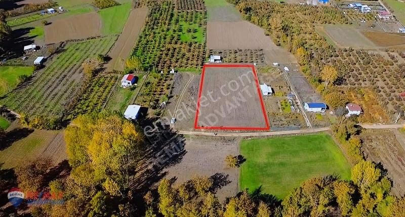 Remax Advantage'dan Kestel Gölcükte Değer Kazanan Bölgede