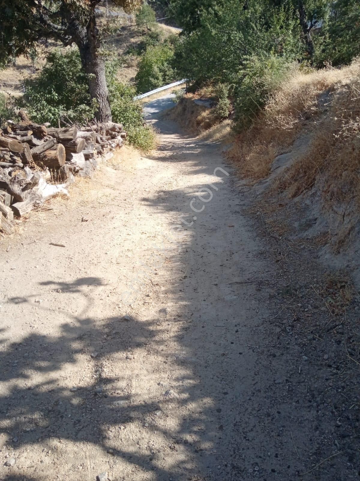 Nazilli Bekirler Köyünde Satılık İncir Bahçesi - Görsel 10