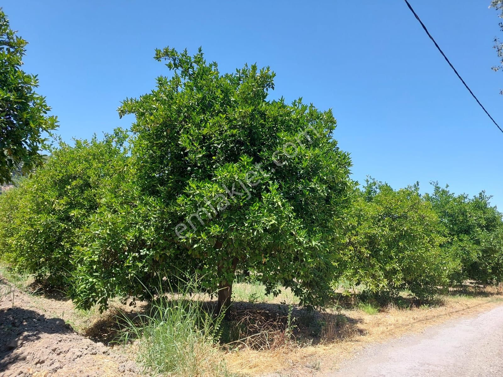 Muğla, Ortaca, Okçular Da, 1015 M2, Müstakil Tapulu Arsa Satılık. - Görsel 4