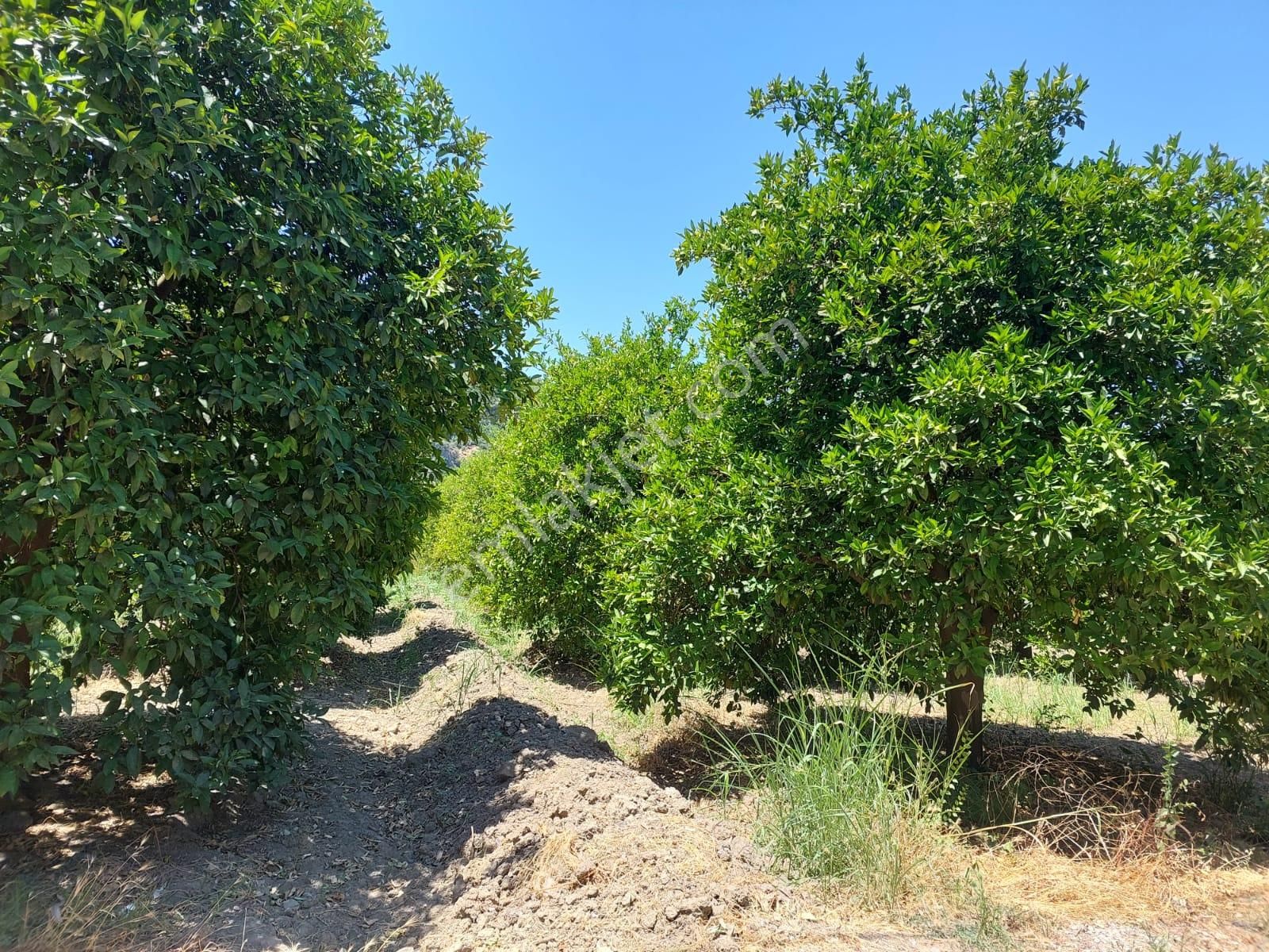 Muğla, Ortaca, Okçular Da, 1015 M2, Müstakil Tapulu Arsa Satılık. - Görsel 3
