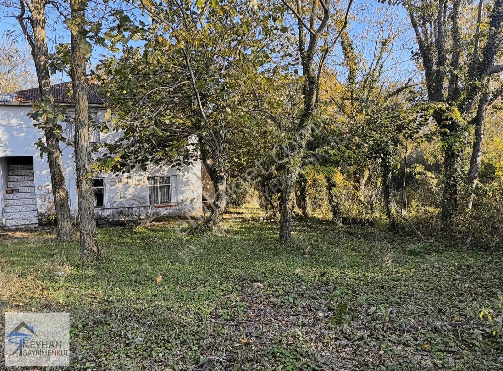 Reyhan Gayrimenkul'den Satilik Samsun Bafra Koseli - Görsel 4