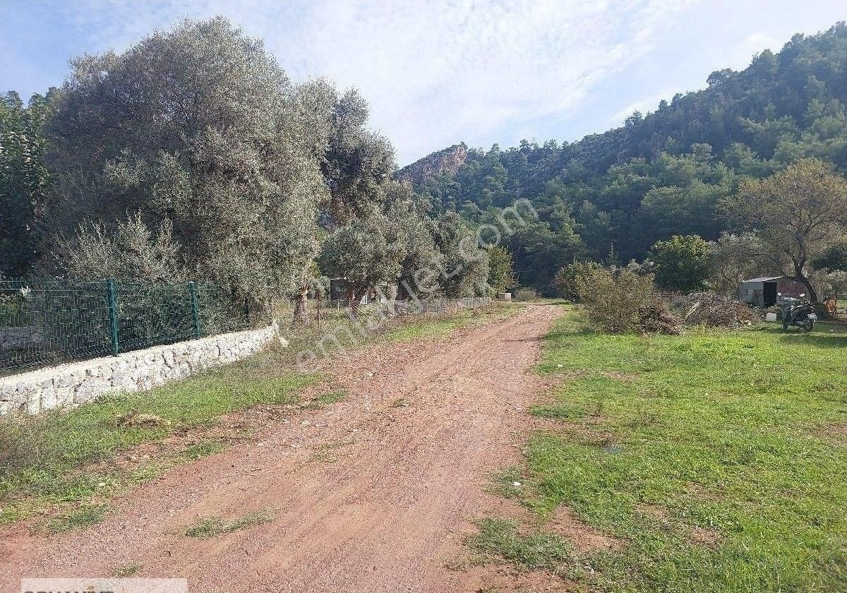 Orhaniye Güneş Emlaktan Satılık Tarla - Görsel 2