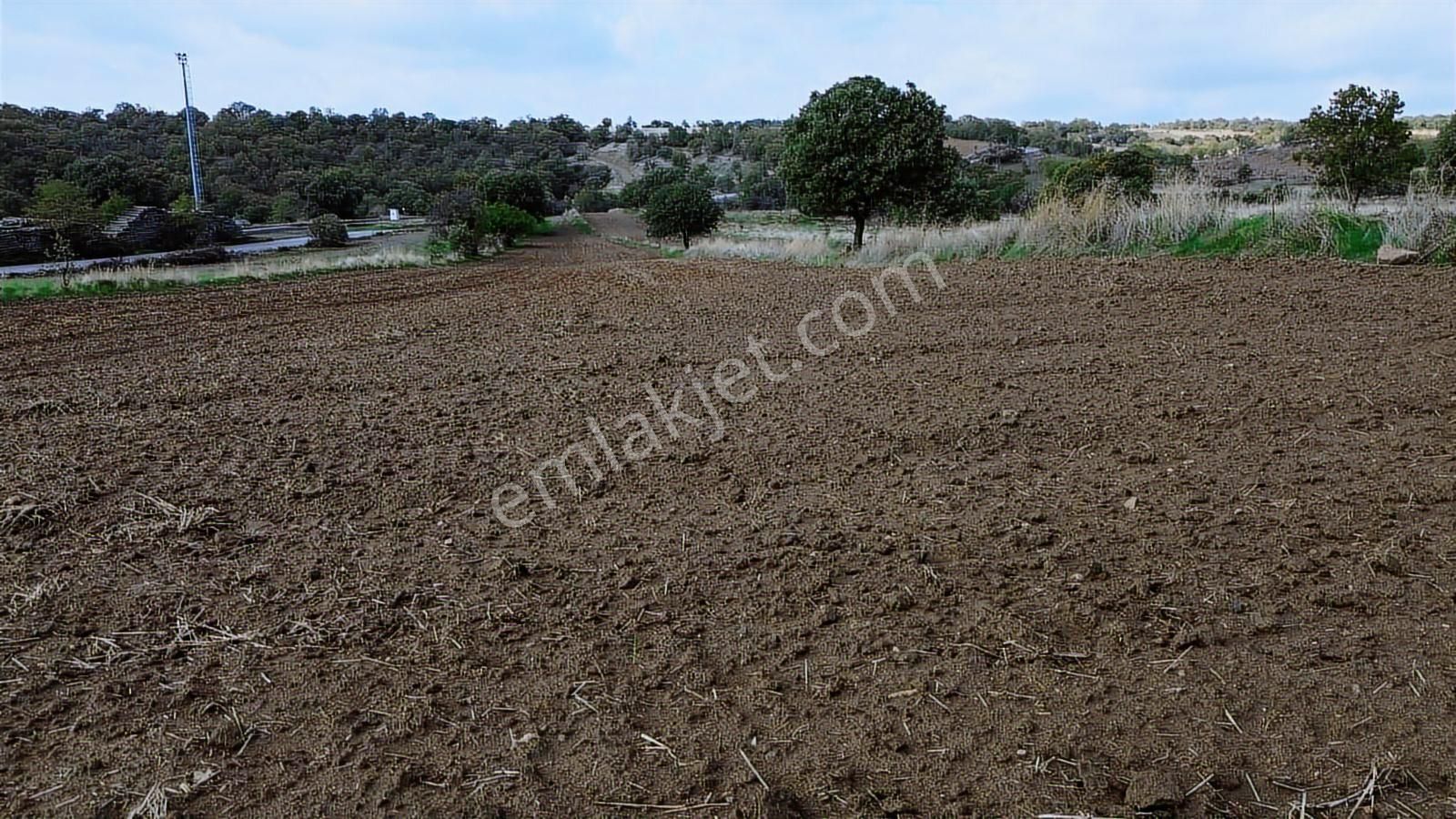Eşme Güneyköy'de Baraj,yol Ve İstasyon Yakını 3970 M2 Tarla - Görsel 21