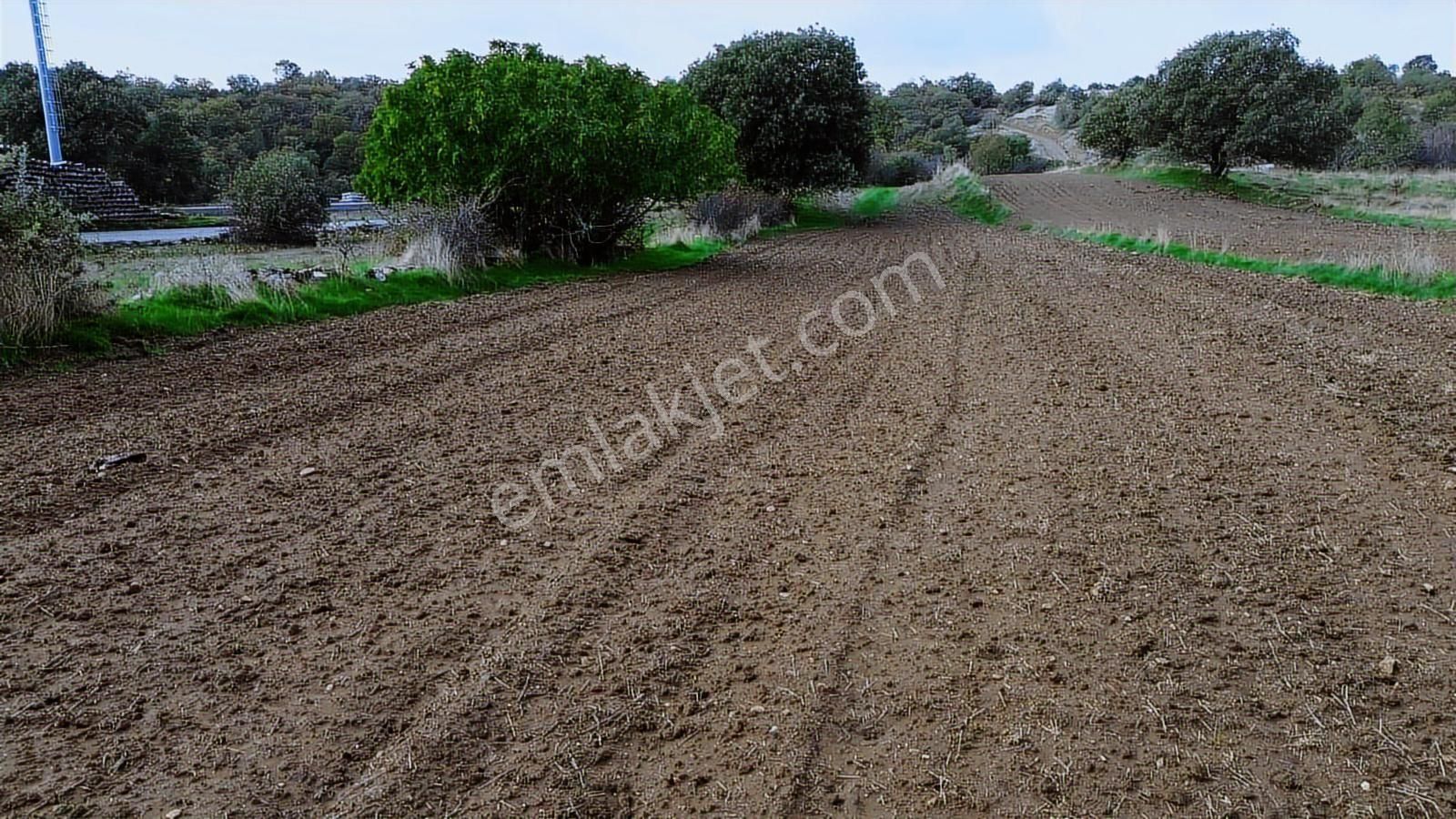 Eşme Güneyköy'de Baraj,yol Ve İstasyon Yakını 3970 M2 Tarla - Görsel 2