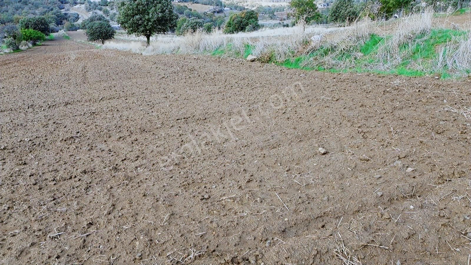 Eşme Güneyköy'de Baraj,yol Ve İstasyon Yakını 3970 M2 Tarla - Görsel 24