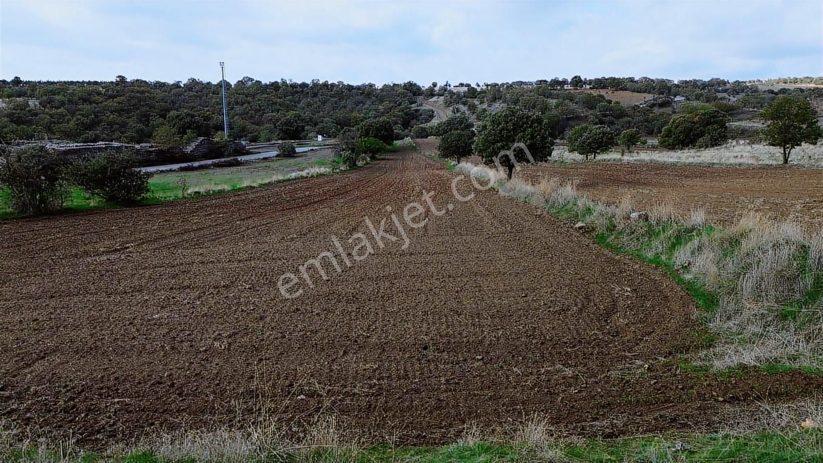 Eşme Güneyköy'de Baraj,yol Ve İstasyon Yakını 3970 M2 Tarla - Görsel 4