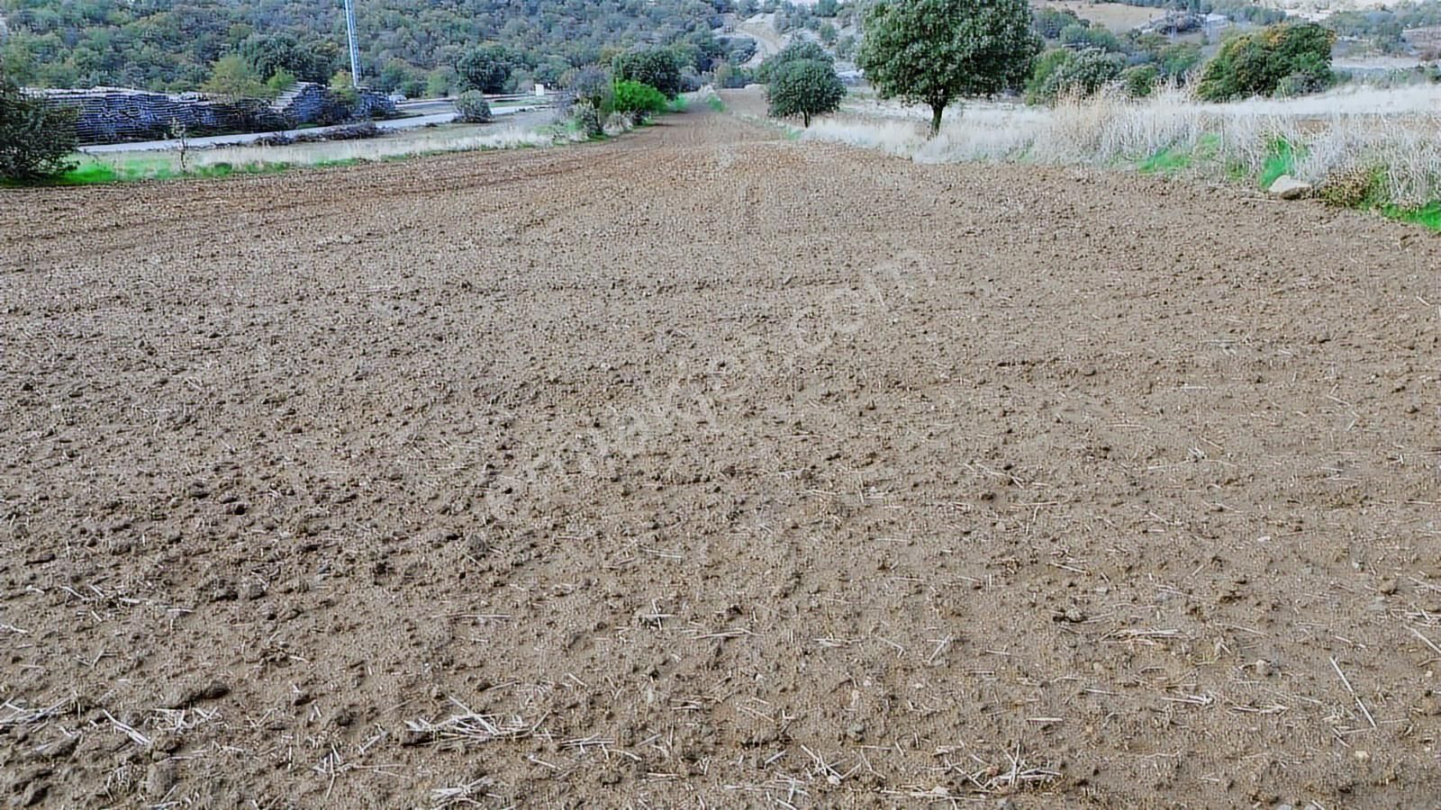 Eşme Güneyköy'de Baraj,yol Ve İstasyon Yakını 3970 M2 Tarla - Görsel 18