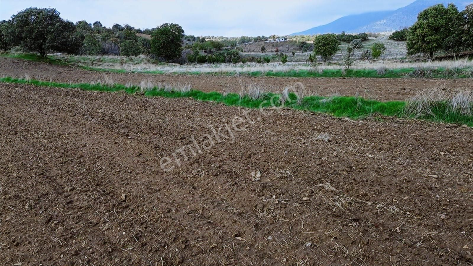 Eşme Güneyköy'de Baraj,yol Ve İstasyon Yakını 3970 M2 Tarla - Görsel 17