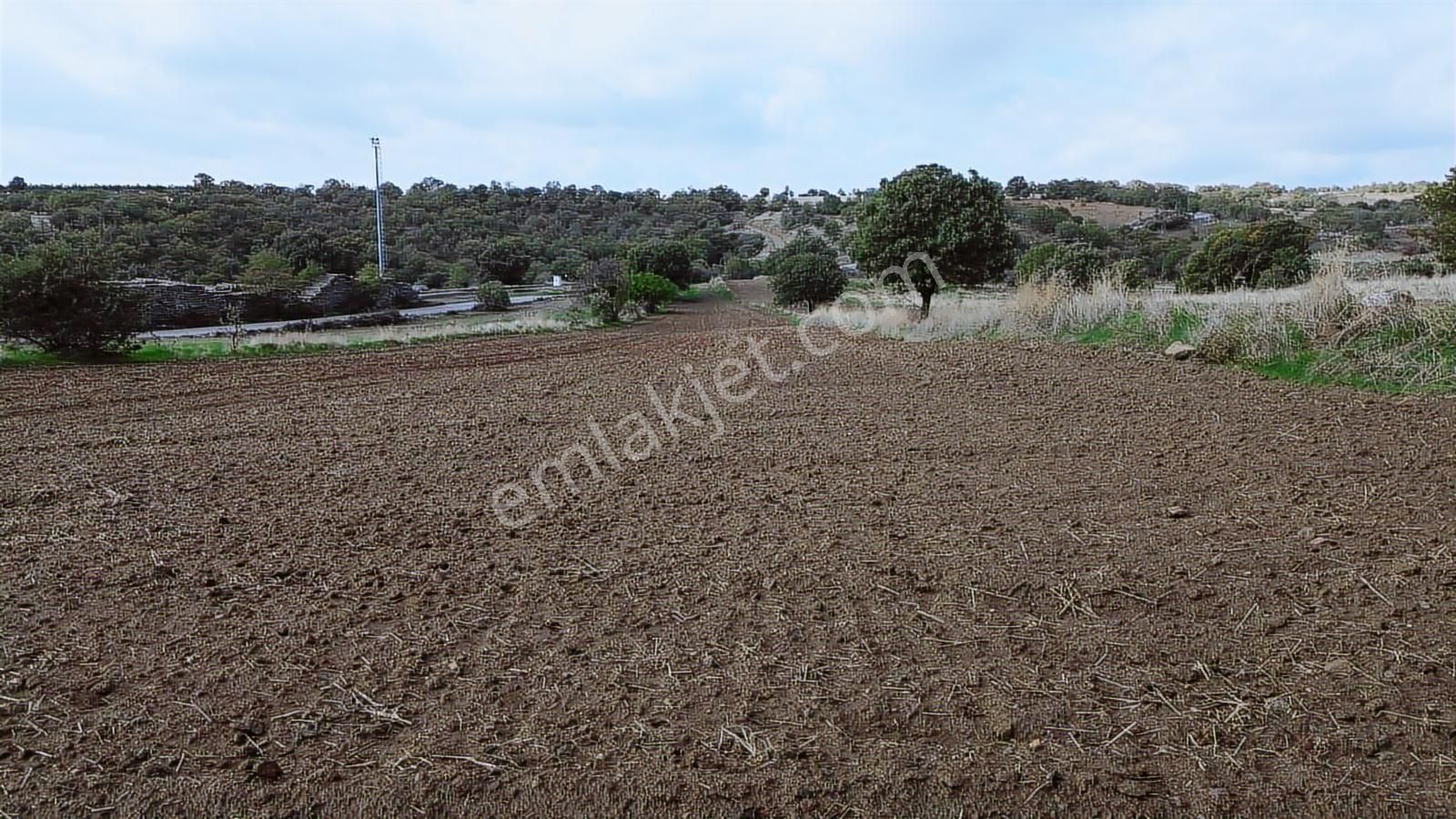 Eşme Güneyköy'de Baraj,yol Ve İstasyon Yakını 3970 M2 Tarla - Görsel 30