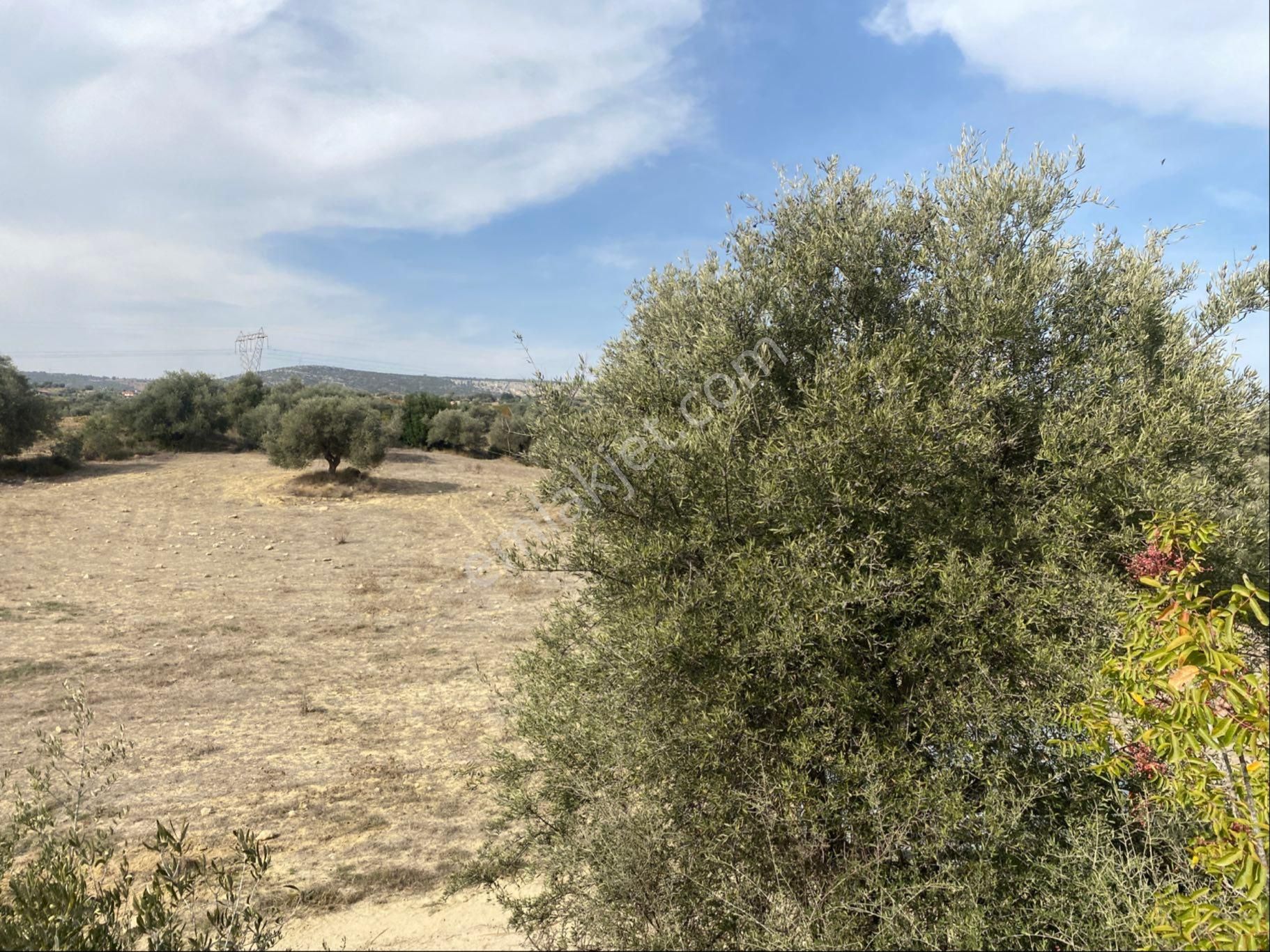 Topraksız Sera Tarımına Uygun Satılık Arazi - Görsel 12