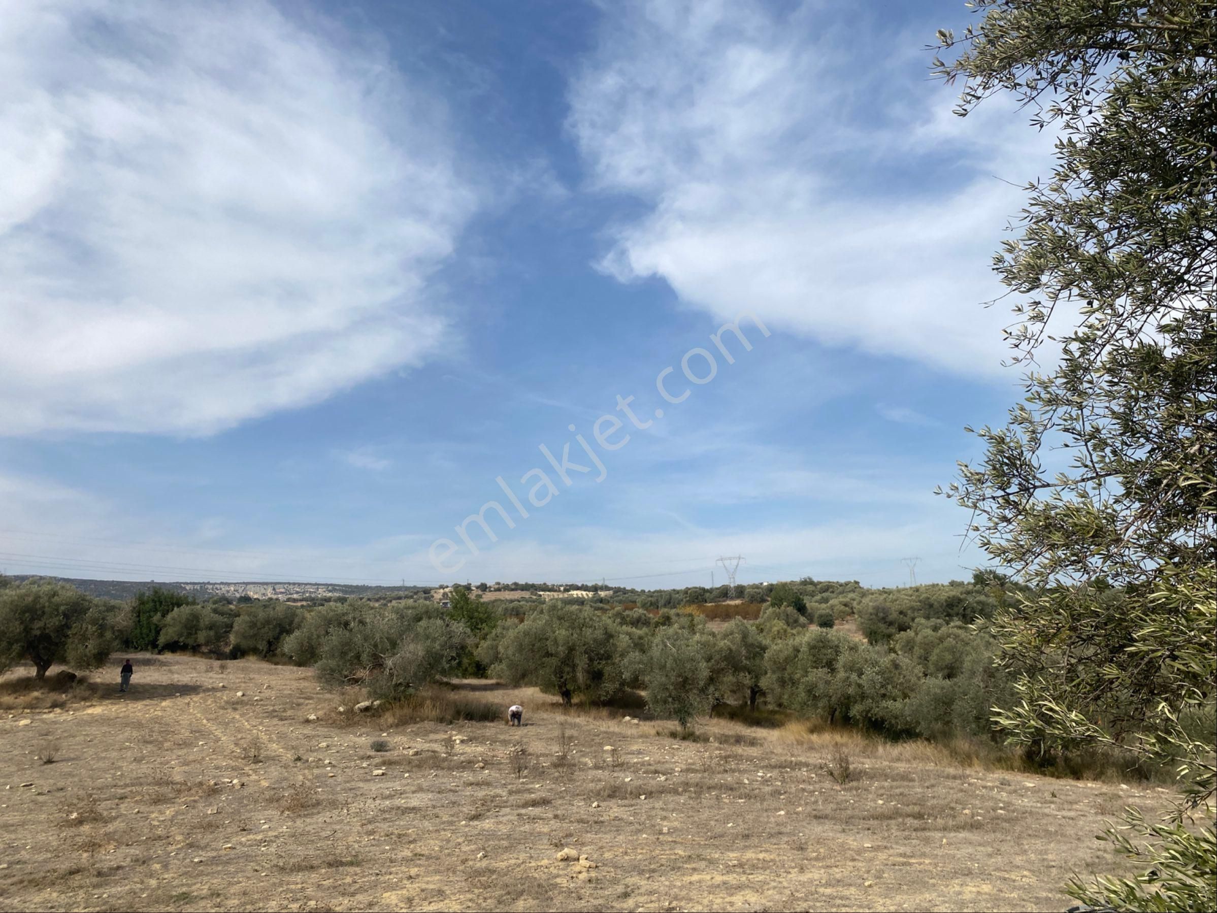 Topraksız Sera Tarımına Uygun Satılık Arazi - Görsel 3