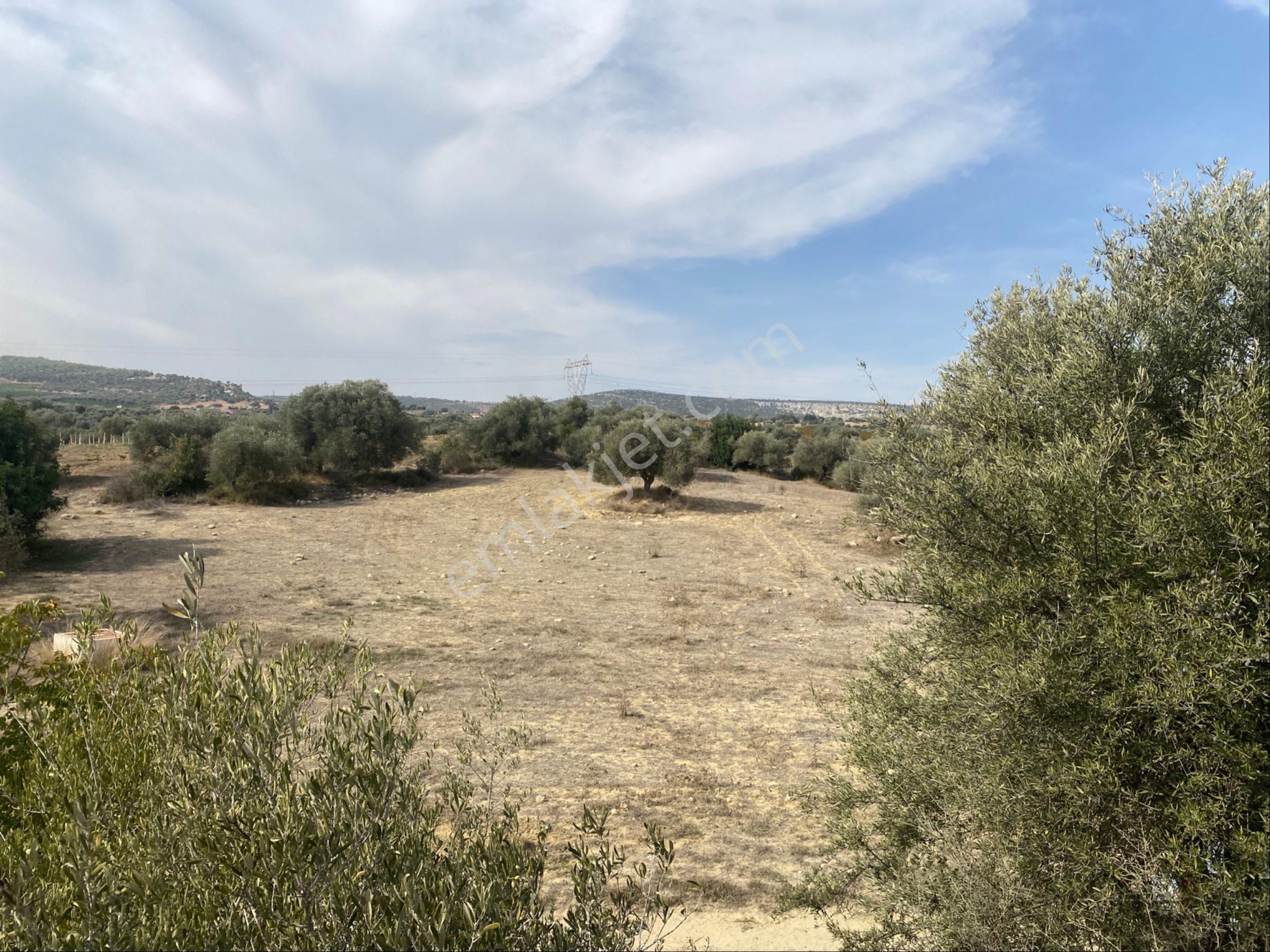 Topraksız Sera Tarımına Uygun Satılık Arazi - Görsel 8