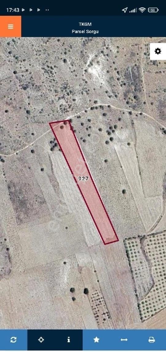 Silifke Kavak Mahallesi 10.500.00m2 Yatırım Kıl Tarla - Görsel 2