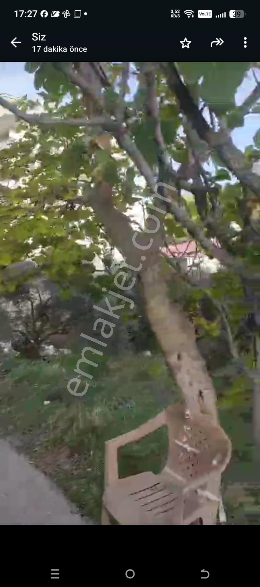 İzmir Torbalı Ayrancılar Merkezde Satılık Arsa Konut İmarlı 387 M2. - Görsel 5