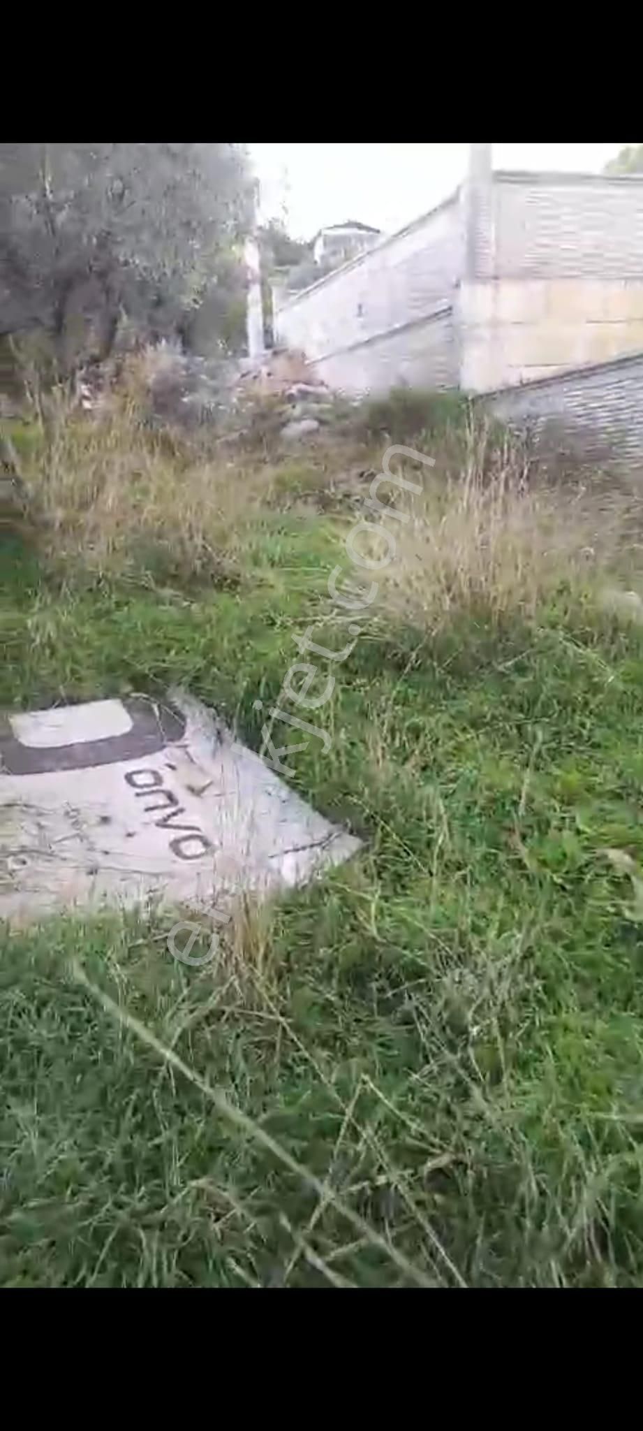 İzmir Torbalı Ayrancılar Merkezde Satılık Arsa Konut İmarlı 387 M2. - Görsel 6